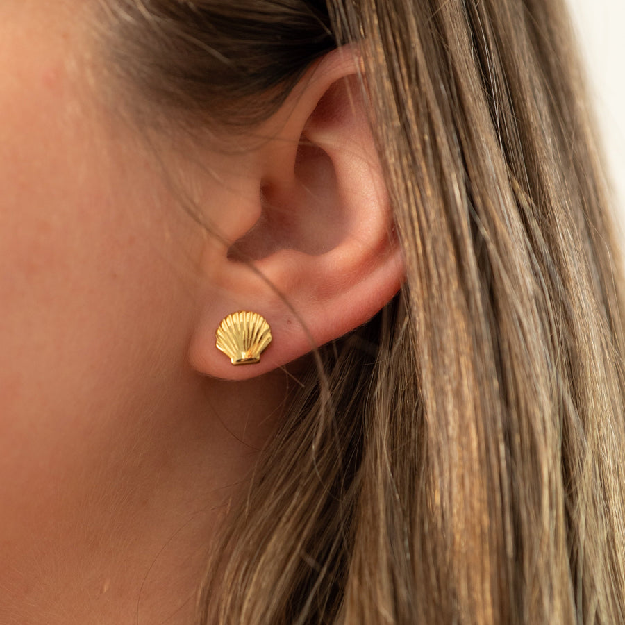 Shell Studs - Gold